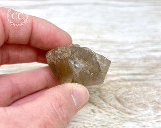 Smoky Citrine - Brazil #8