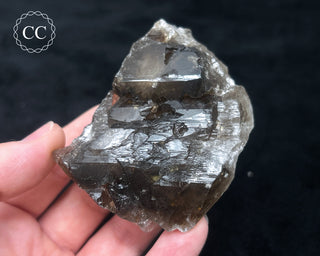 Elestial Smoky Quartz #4
