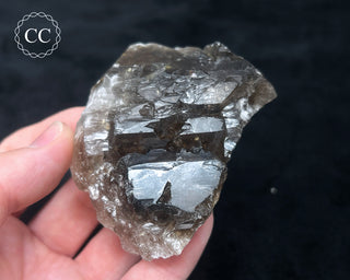 Elestial Smoky Quartz #4