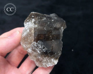 Elestial Smoky Quartz #4