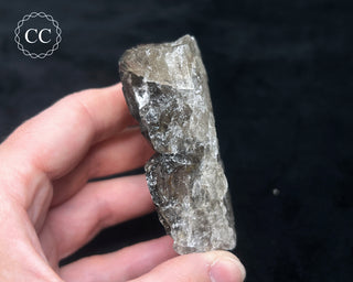 Elestial Smoky Quartz #4