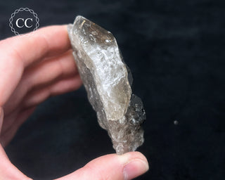 Elestial Smoky Quartz #4