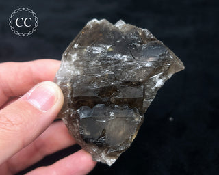 Elestial Smoky Quartz #4