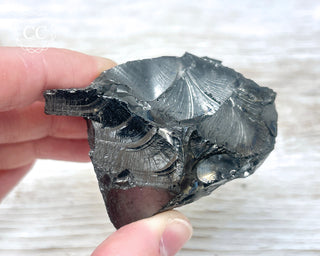 Elite Shungite Crystal - Colombia #2