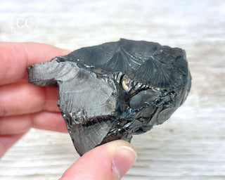 Elite Shungite Crystal - Colombia #2