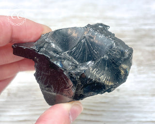 Elite Shungite Crystal - Colombia #2
