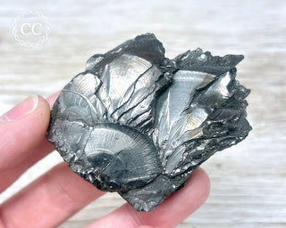 Elite Shungite Crystal - Colombia #4