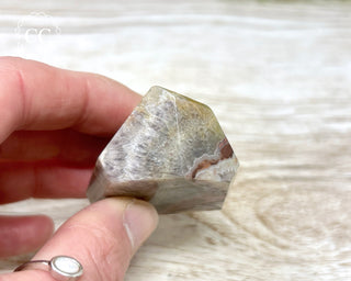 Enchanted Quartz Freeform #5