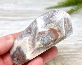 Enchanted Quartz Freeform #1