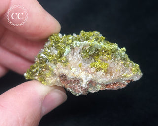 Epidote and Quartz Specimen #1