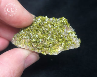 Epidote and Quartz Specimen #1