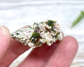 Epidote and Sphene Specimen #1