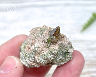 Epidote and Sphene Specimen #2