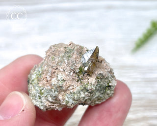 Epidote and Sphene Specimen #2