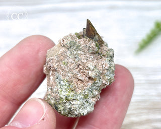 Epidote and Sphene Specimen #2