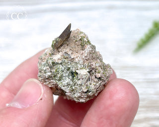 Epidote and Sphene Specimen #2