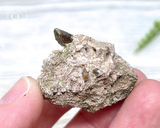 Epidote and Sphene Specimen #2
