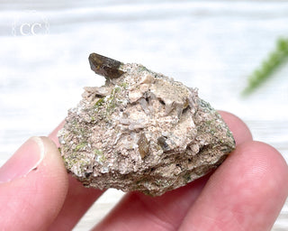 Epidote and Sphene Specimen #2