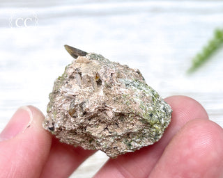 Epidote and Sphene Specimen #2