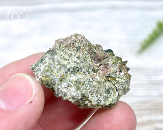 Epidote and Sphene Specimen #3
