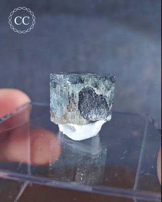 Aquamarine & Black Tourmaline - Namibia #6