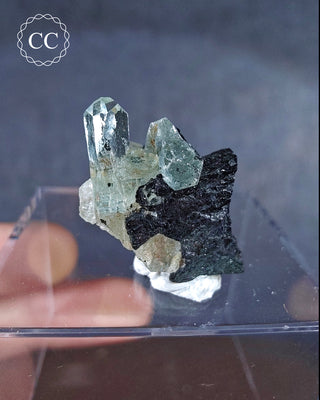 Aquamarine specimen with Black Tourmaline from Erongo in Namibia.