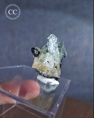 Aquamarine & Black Tourmaline - Namibia #2