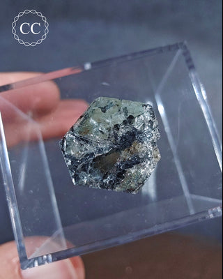 Aquamarine & Black Tourmaline - Namibia #6