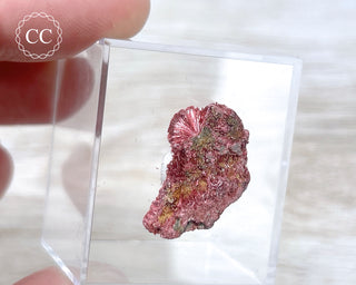 Erythrite Specimen - Australia #9