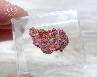 Erythrite Specimen - Australia #9