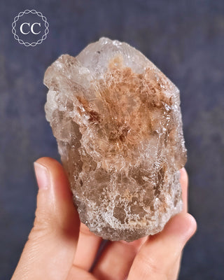 Etched Smoky Lodolite Quartzin hand on blue background