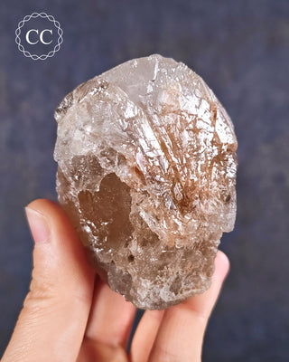 Etched Smoky Lodolite Quartz #2