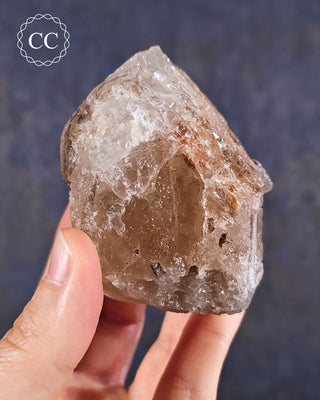Etched Smoky Lodolite Quartz #2
