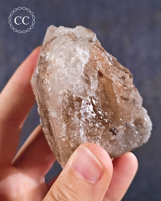 Etched Smoky Lodolite Quartz #2