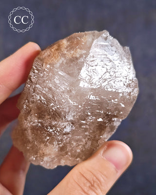 Etched Smoky Lodolite Quartz #2