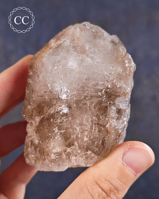 Etched Smoky Lodolite Quartz #2