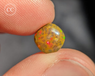 Ethiopian Honeycomb Opal Cabochon #2