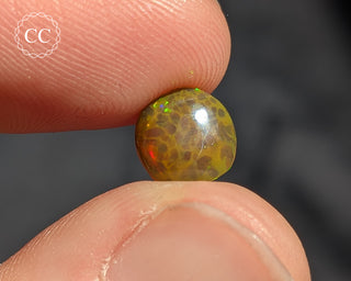 Ethiopian Honeycomb Opal Cabochon #2