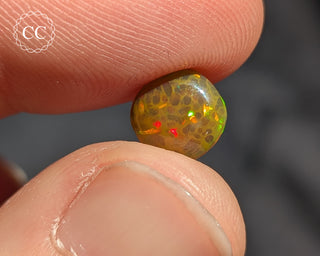Ethiopian Honeycomb Opal Cabochon #2
