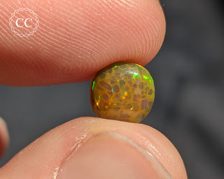 Ethiopian Honeycomb Opal Cabochon #2