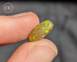 Ethiopian Honeycomb Opal Cabochon #1