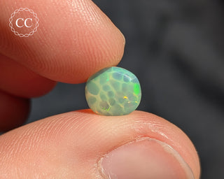 Ethiopian Honeycomb Opal Cabochon #4