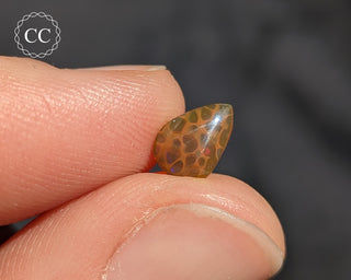 Ethiopian Honeycomb Opal Cabochon #5