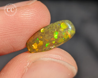 Ethiopian Honeycomb Opal Cabochon #1