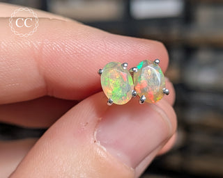 Ethiopian Opal Silver Stud Earrings #6
