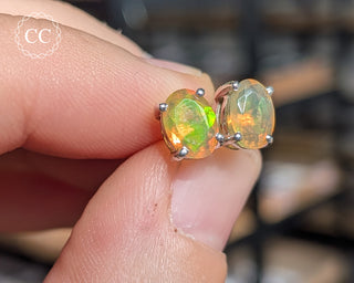 Ethiopian Opal Silver Stud Earrings #7