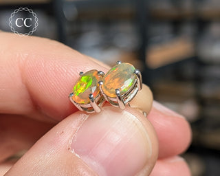 Ethiopian Opal Silver Stud Earrings #7