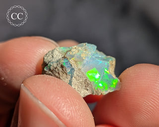 Ethiopian Opal Specimen #19