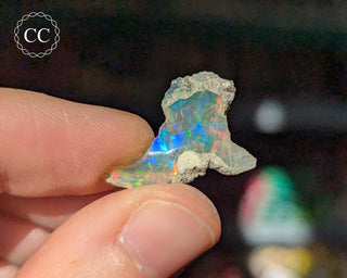 Ethiopian Opal Specimen #13