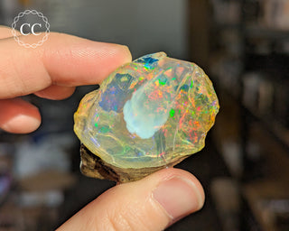 Water Opal #1